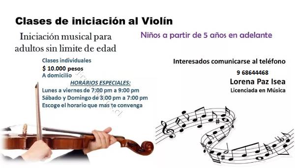 Clases De Violin Violin A Domicilio 17 05 26 Economicos De El Mercurio