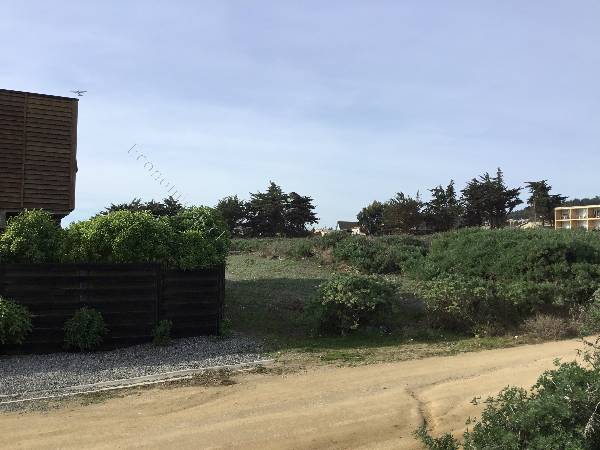 Lotes Primera Linea Playa Hermosa Pichilemu 01 14 En Economicos De El Mercurio