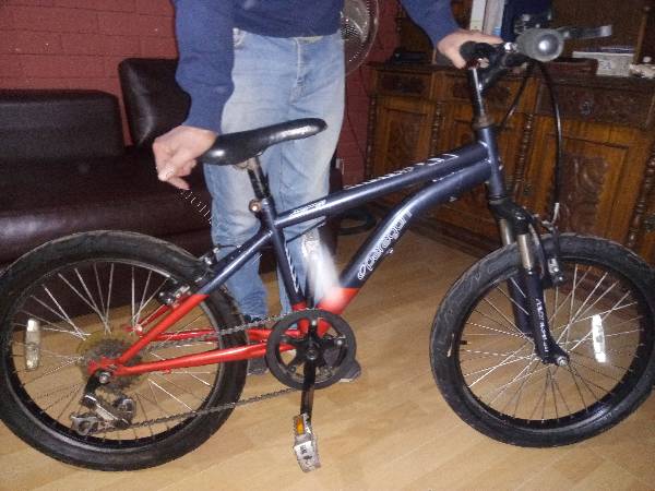 Bicicleta Aro 20 Mountain Bike 2021-02-07 en Economicos de El Mercurio