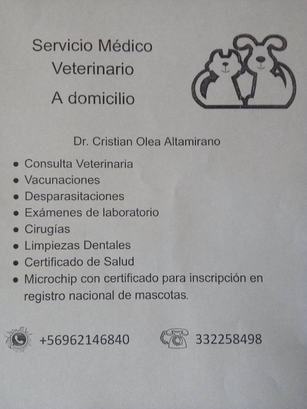 Servicios Medicos Veterinario 18 04 05 Economicos De El Mercurio