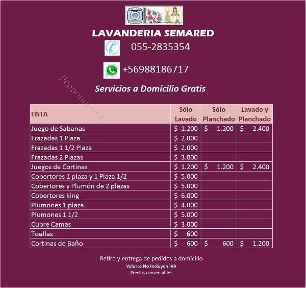 precio lavado plumon