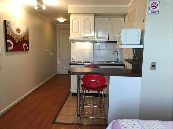 Arriendo Departamento Home Studio Amoblado En Providencia 2019 12 15 En Economicos De El Mercurio Arriendo Departamento Home Studio Amoblado En Providencia 2019 12 15 En Economicos De El Mercurio