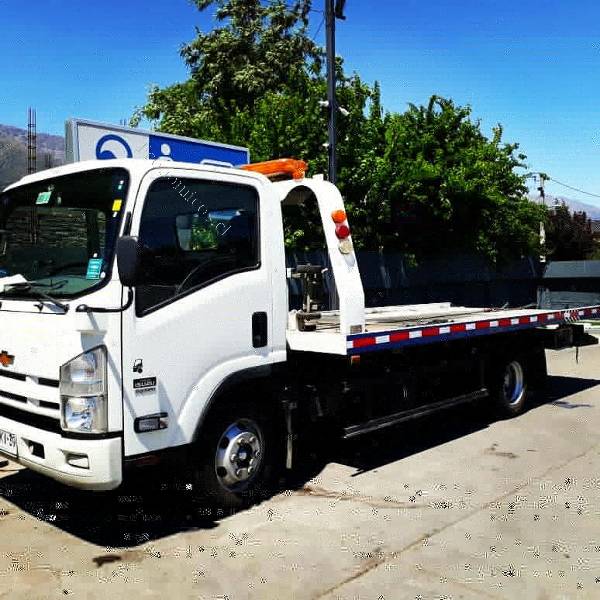 Rayo maldición miseria Camion Grua - Plataforma Hidraulica Con Wheel Lift 2019-01-29 en Economicos  de El Mercurio